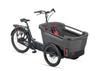 Batavus FIER-3
