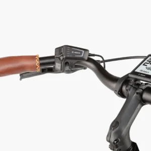 Riese & müller cruiser mixte vario urban