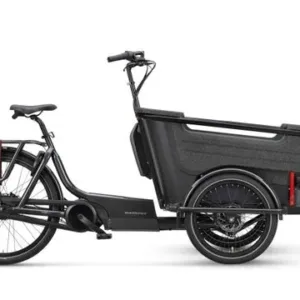 Batavus FIER-3