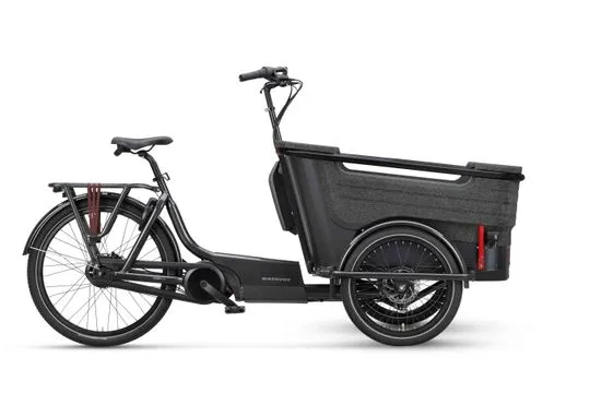 Batavus FIER-3